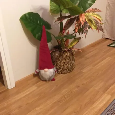 37 דירה רובניימי