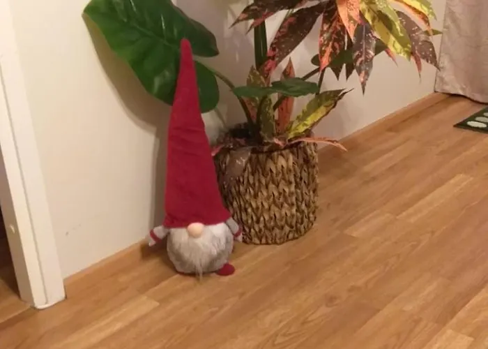 37 شقة روفانييمي